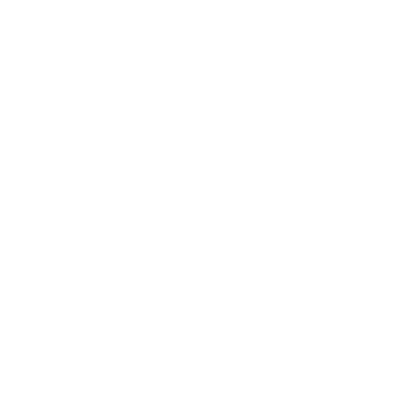 Spider Flex
